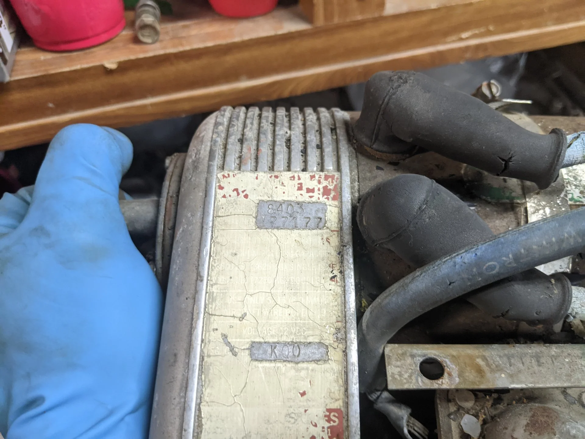 PXL_20220219_211528114.jpg
