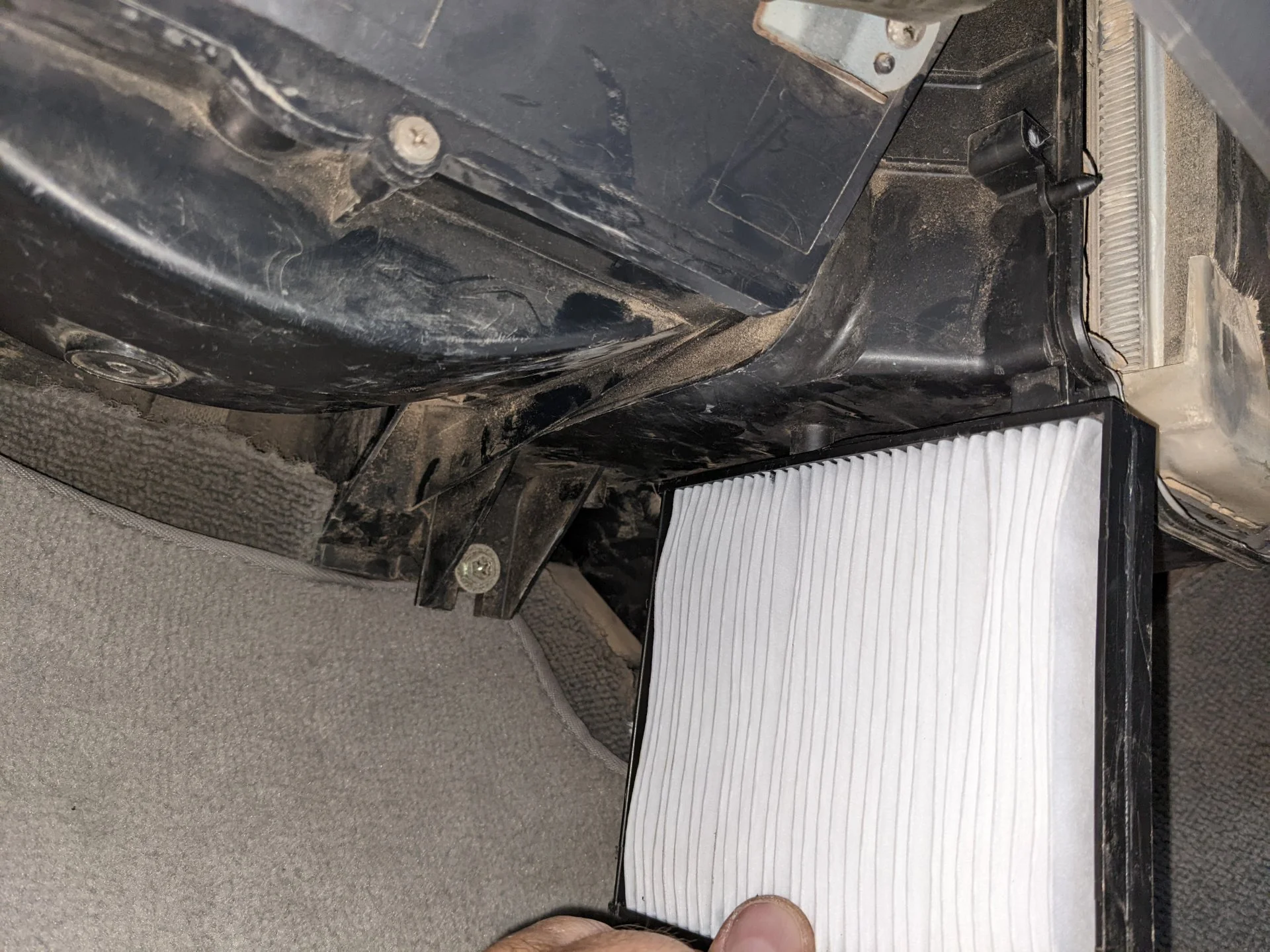 PXL_20220504_095644359.webp