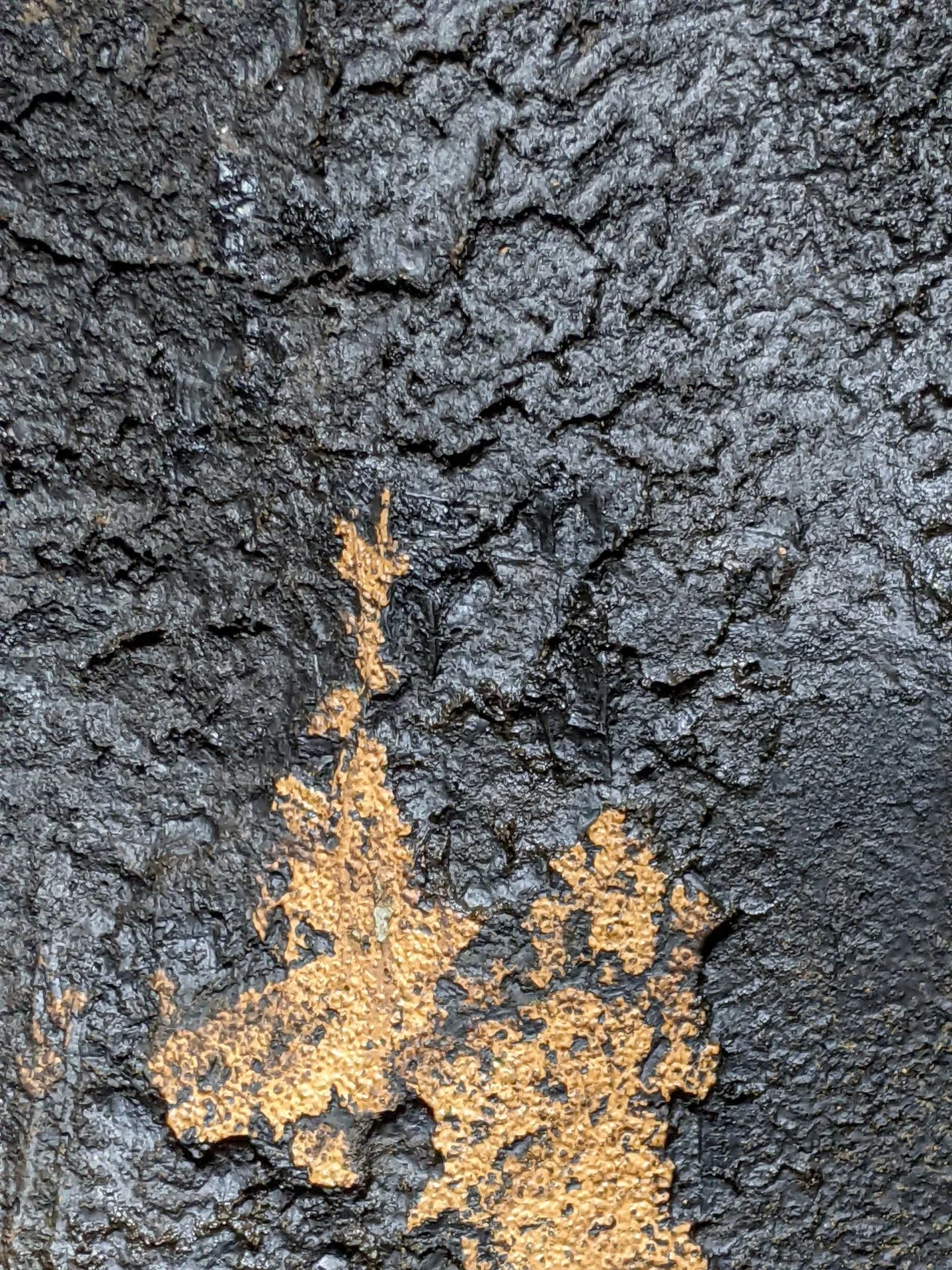 PXL_20220528_204725802.jpg