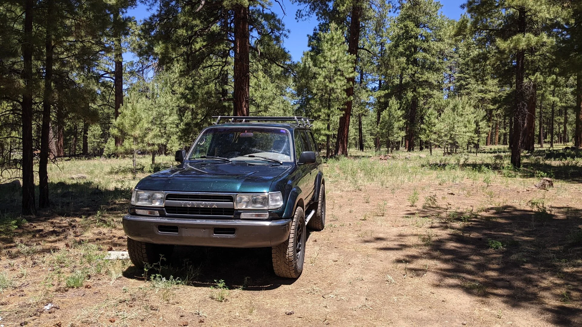 PXL_20230708_183413072.MP.jpg