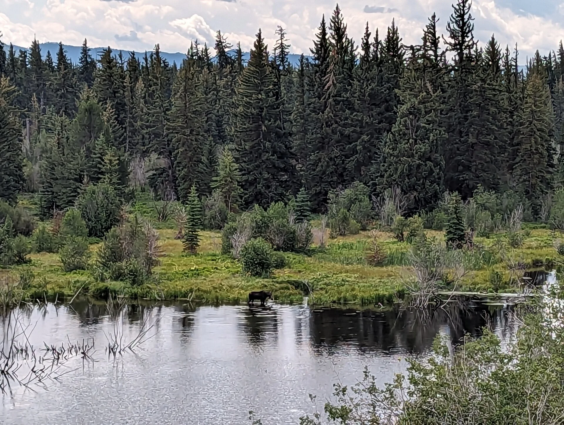 PXL_20230807_183838407.jpg