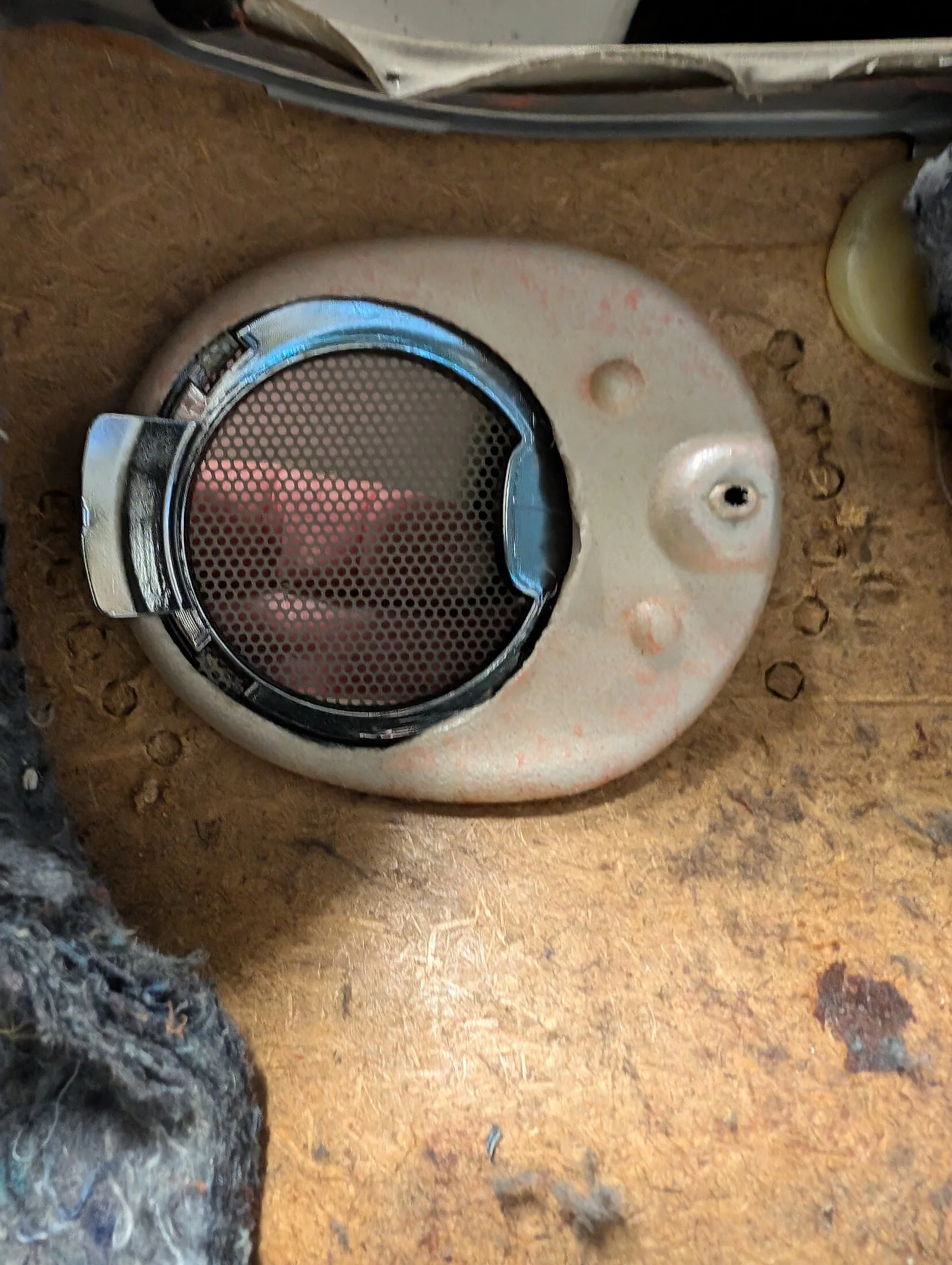 PXL_20240813_065933579.jpg
