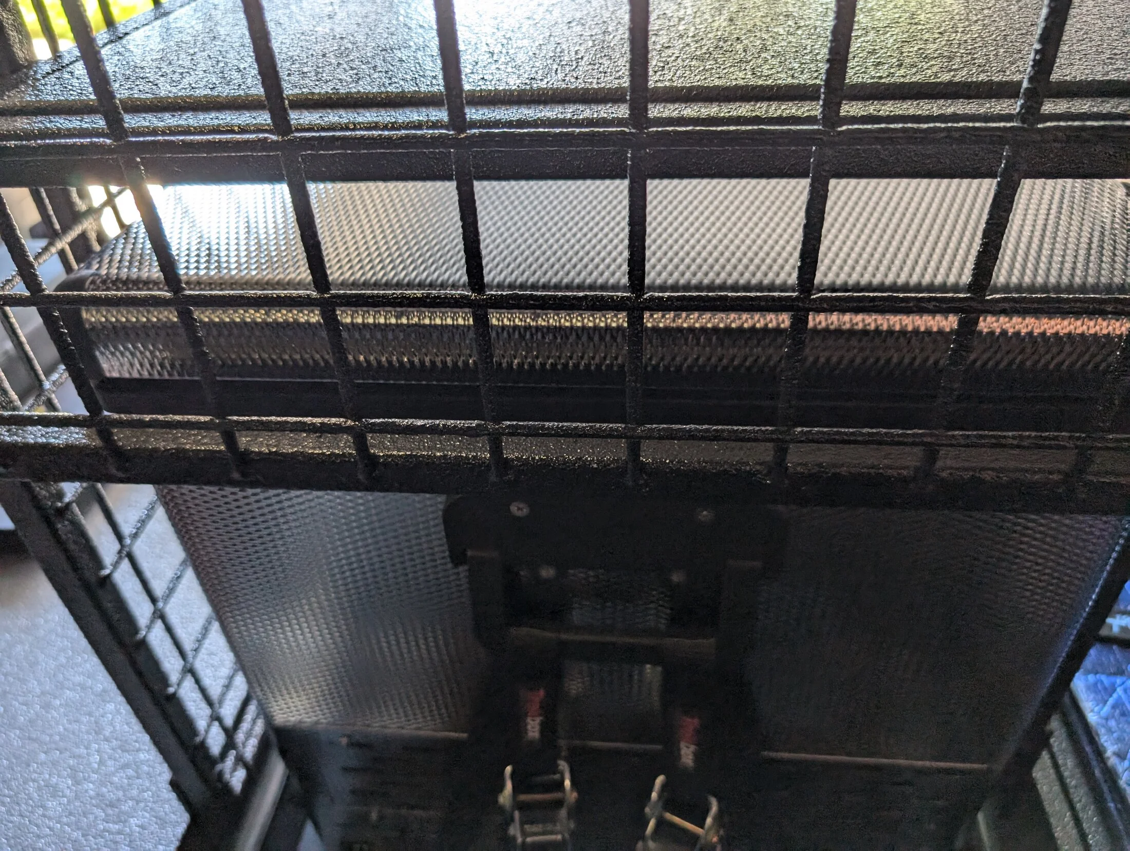 PXL_20240815_181555548.RAW-01.COVER.webp