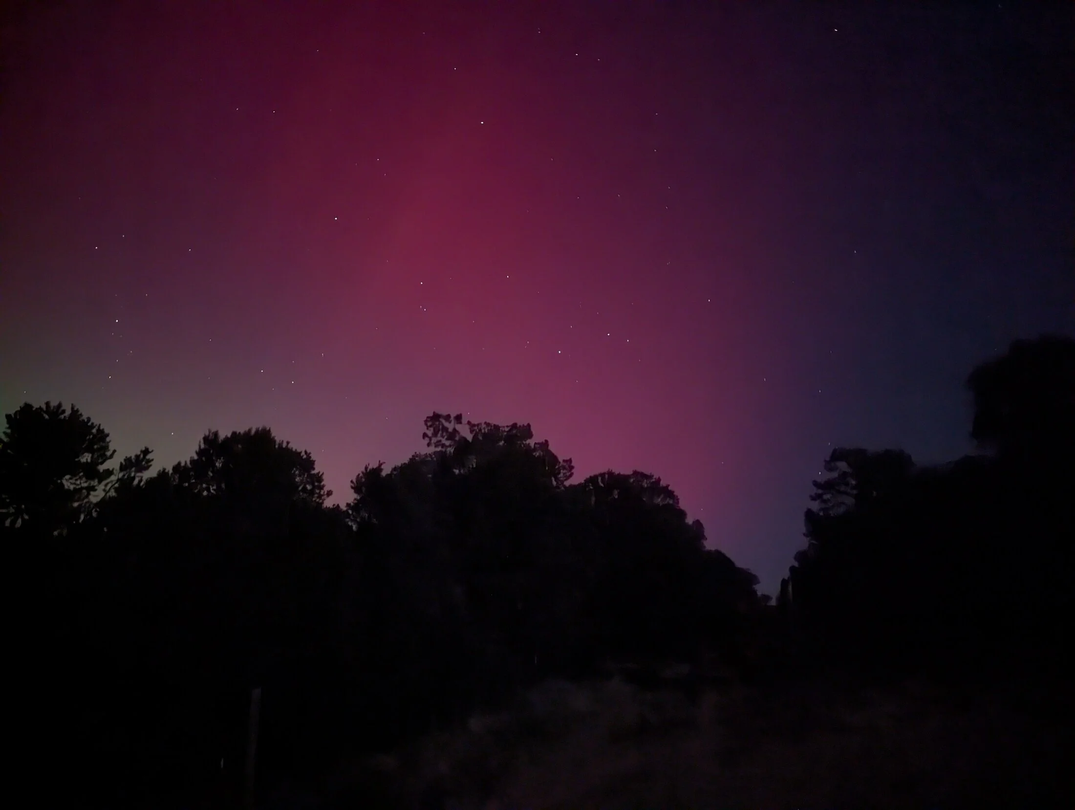 PXL_20241011_022701417.NIGHT.webp