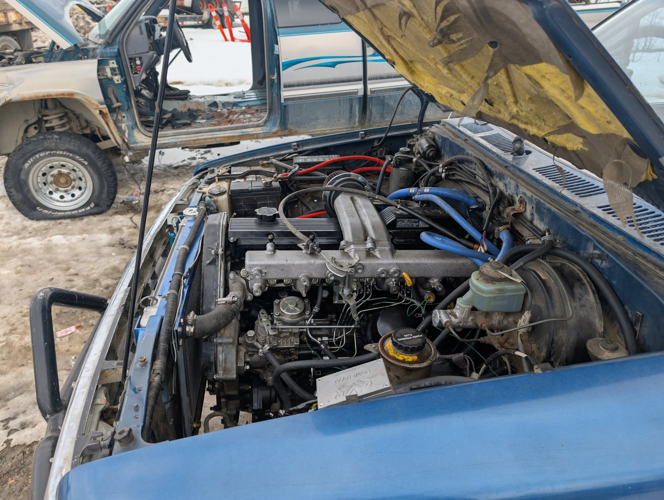 PXL_20250404_231311286.RAW-01.COVER.webp