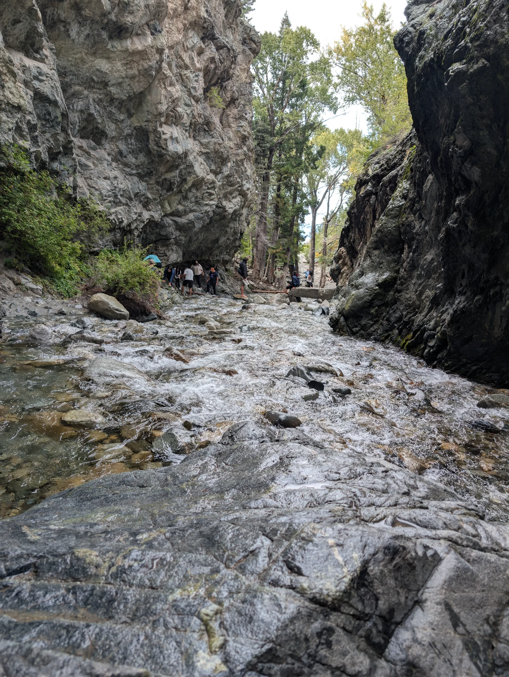 PXL_20250913_212955633.RAW-01.COVER.webp