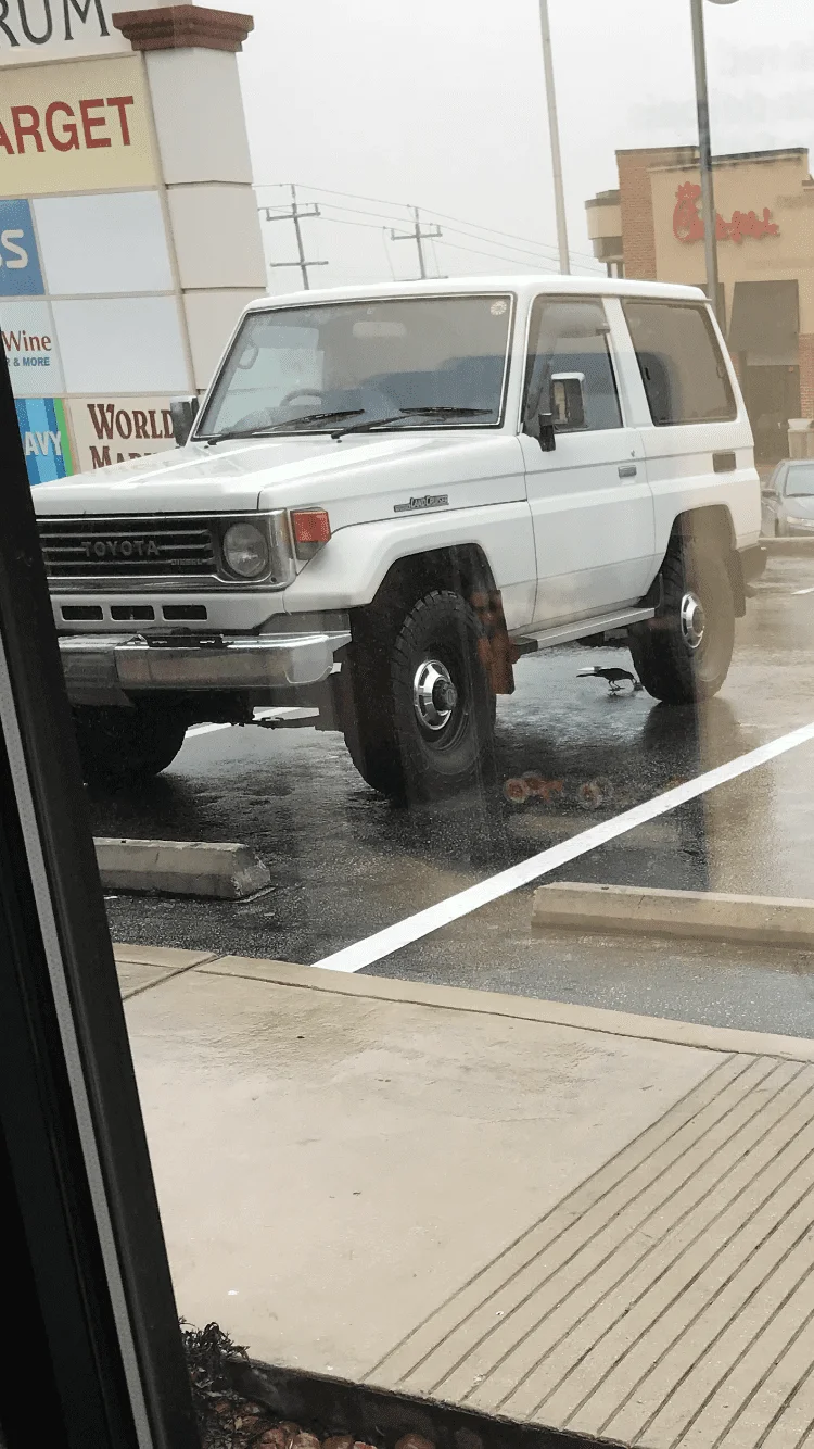 PZJ70.webp