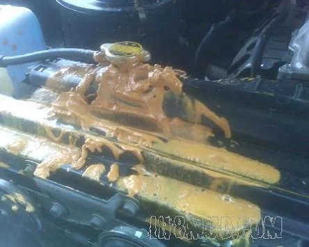foam in radiator | Page 2 | IH8MUD.com Forum | Toyota, Lexus & Off-Road ...