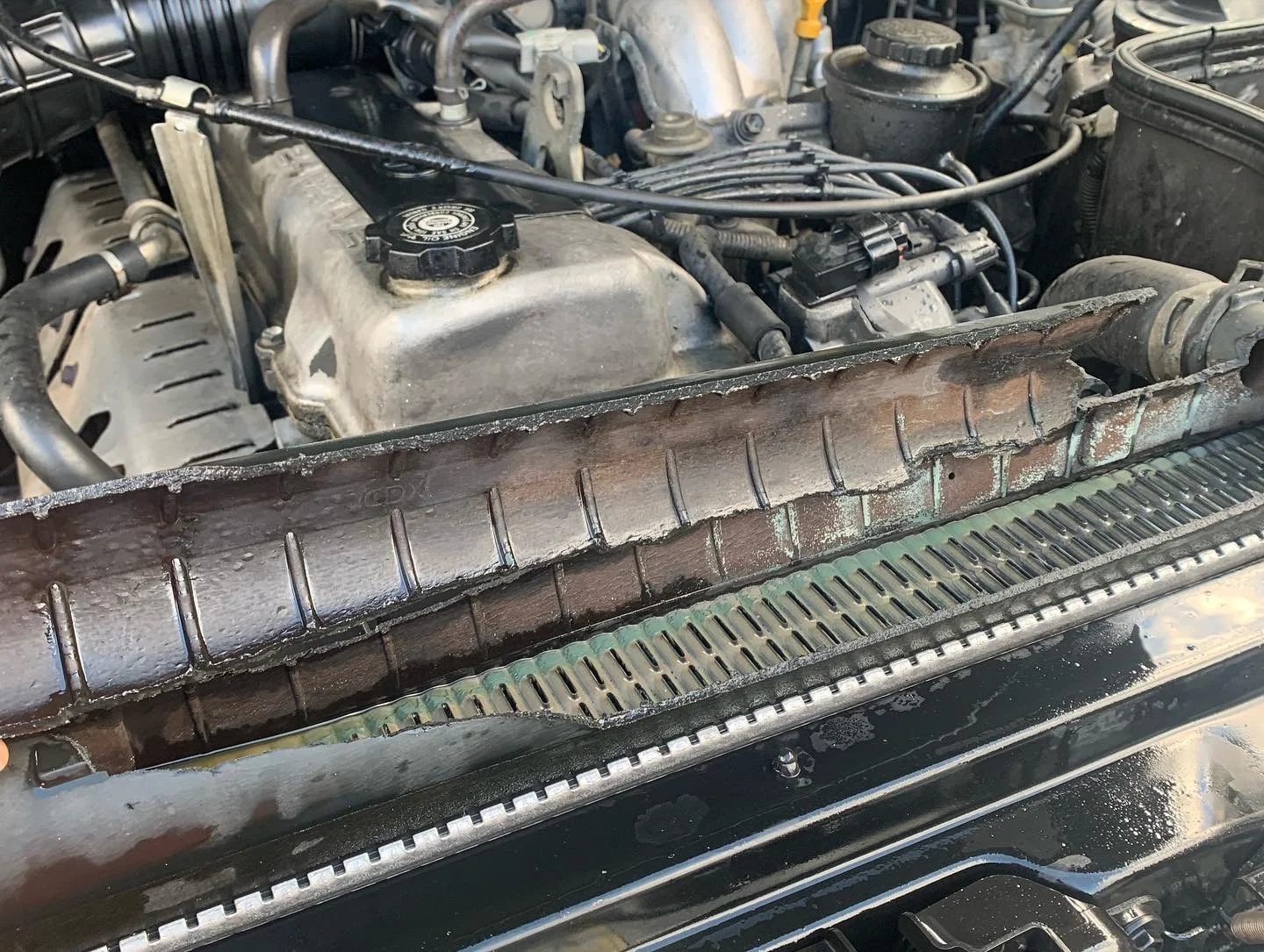 radiator boom.webp