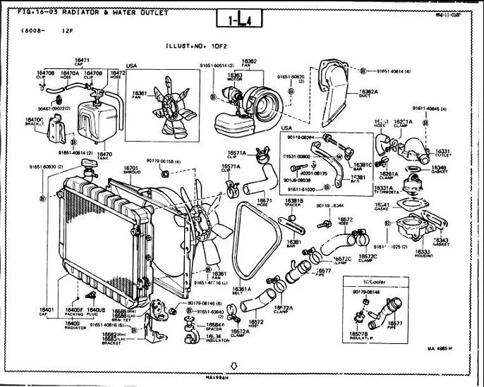 radiator hoses.webp