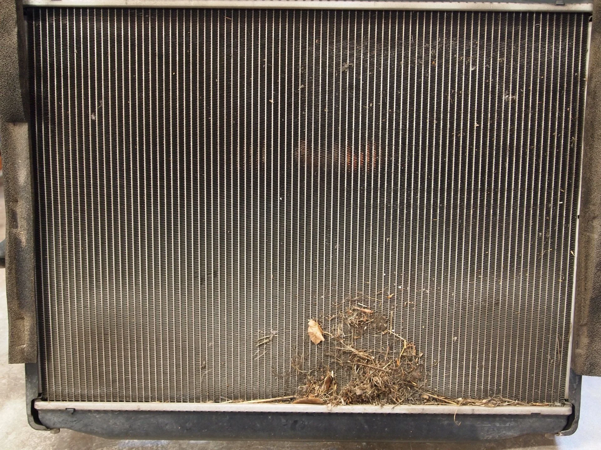 Radiator Original.webp