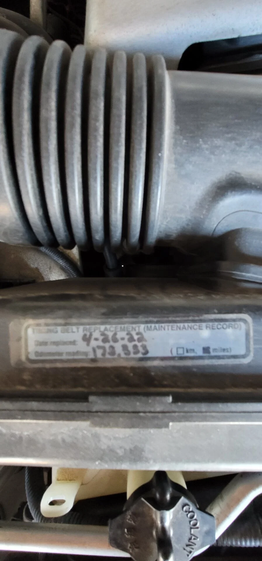 Radiator.webp