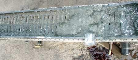 radiator_1.jpg