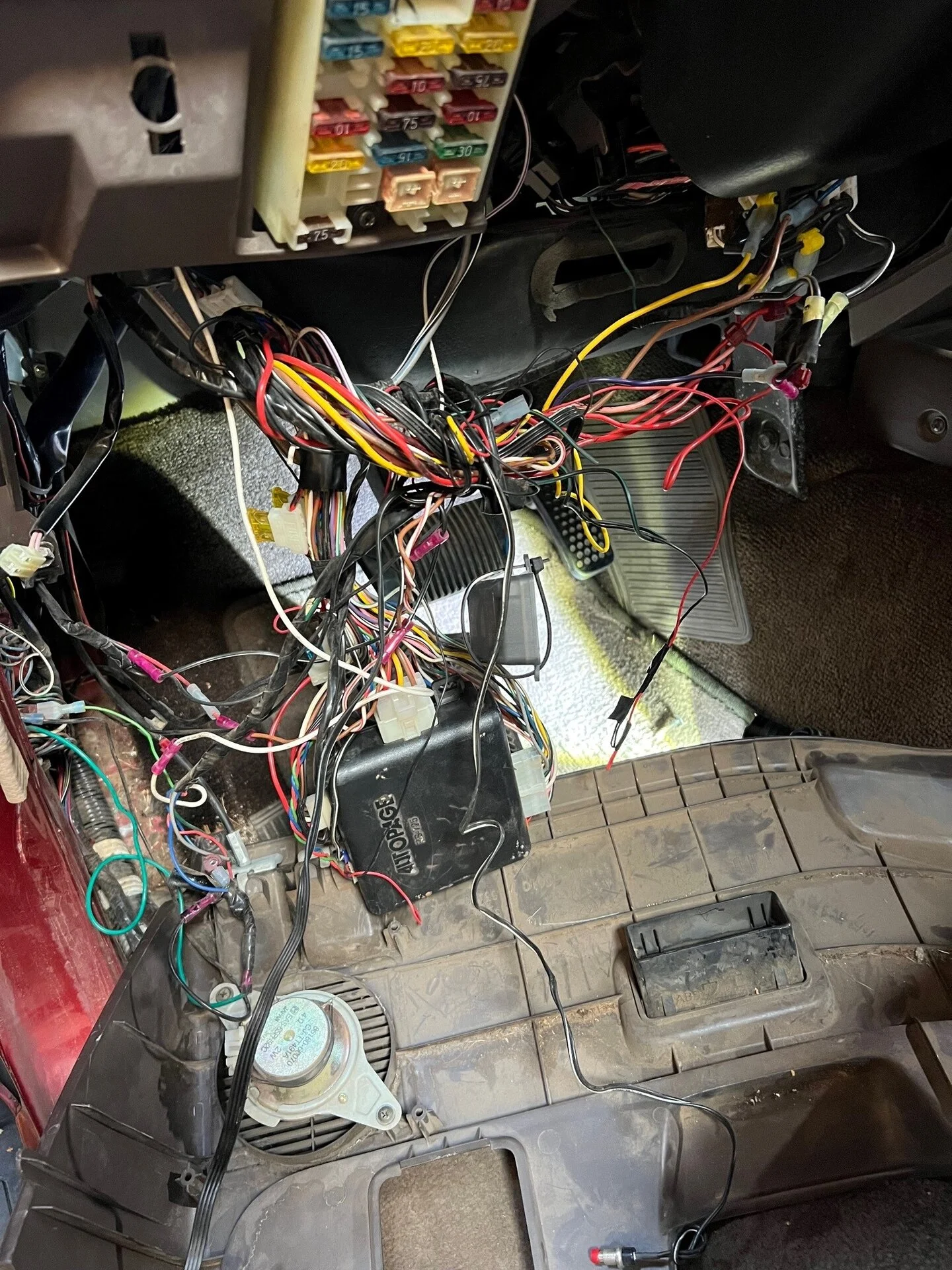 Ratnest1.webp