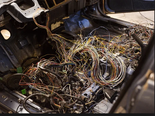rats nest.webp