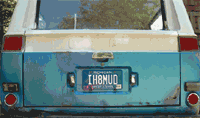rav55.gif