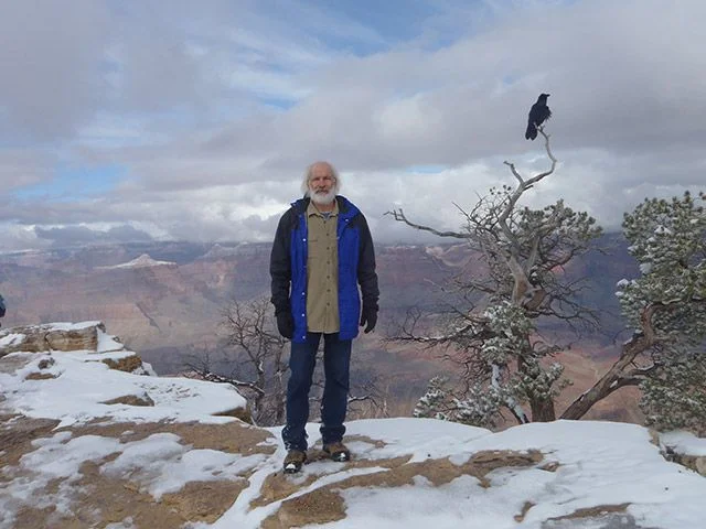 Raven-at-South-Rim.webp