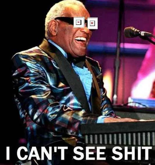 ray-charles-i-cant-see-s***.webp