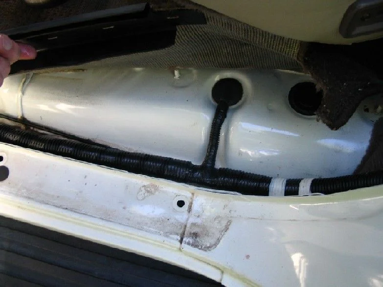 Rear Door.webp