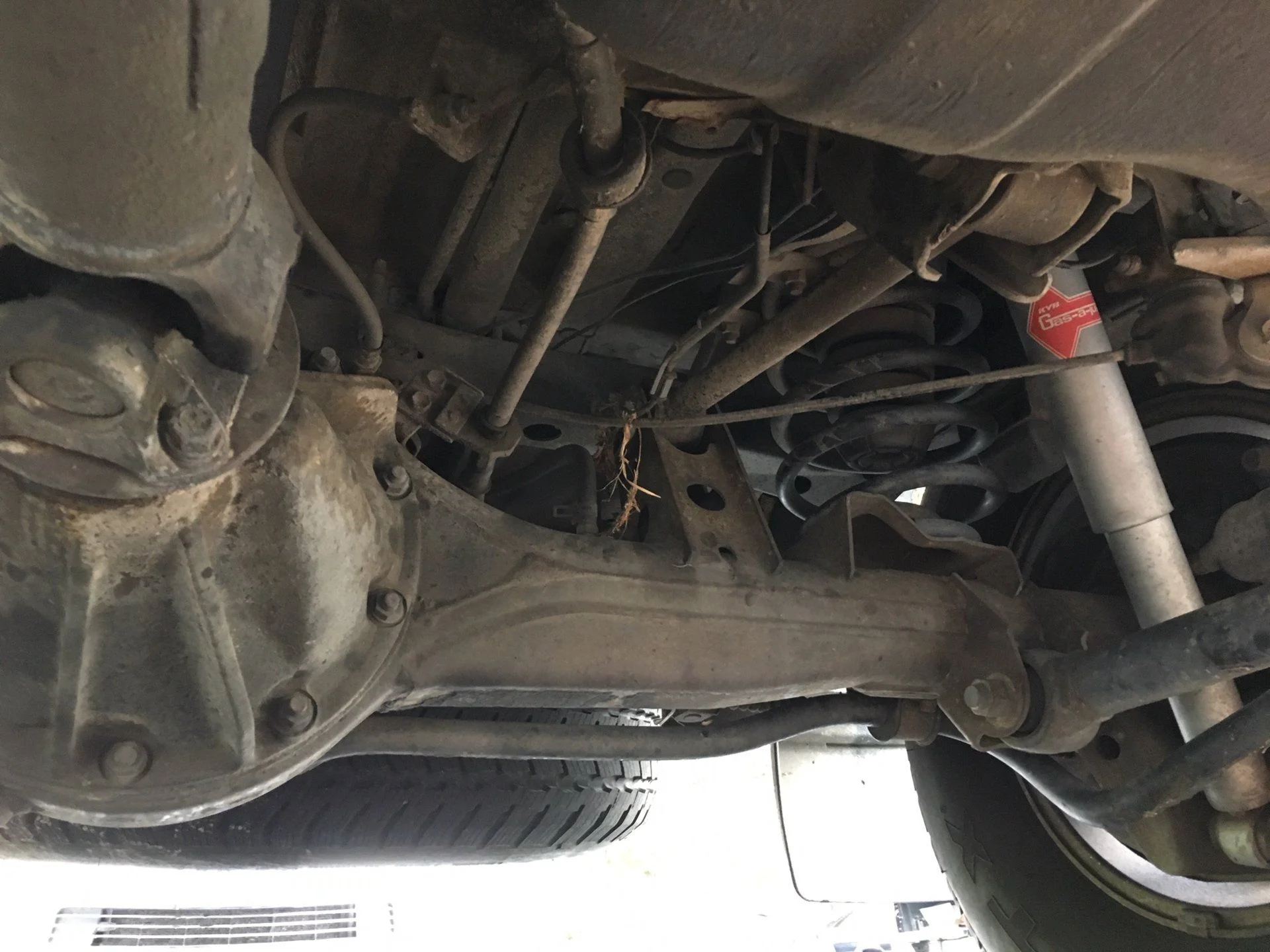 Rear drivers side.webp