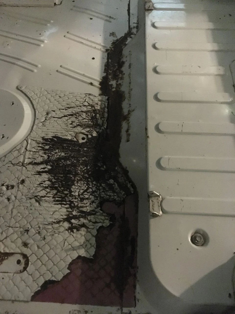 REAR FLOR.webp