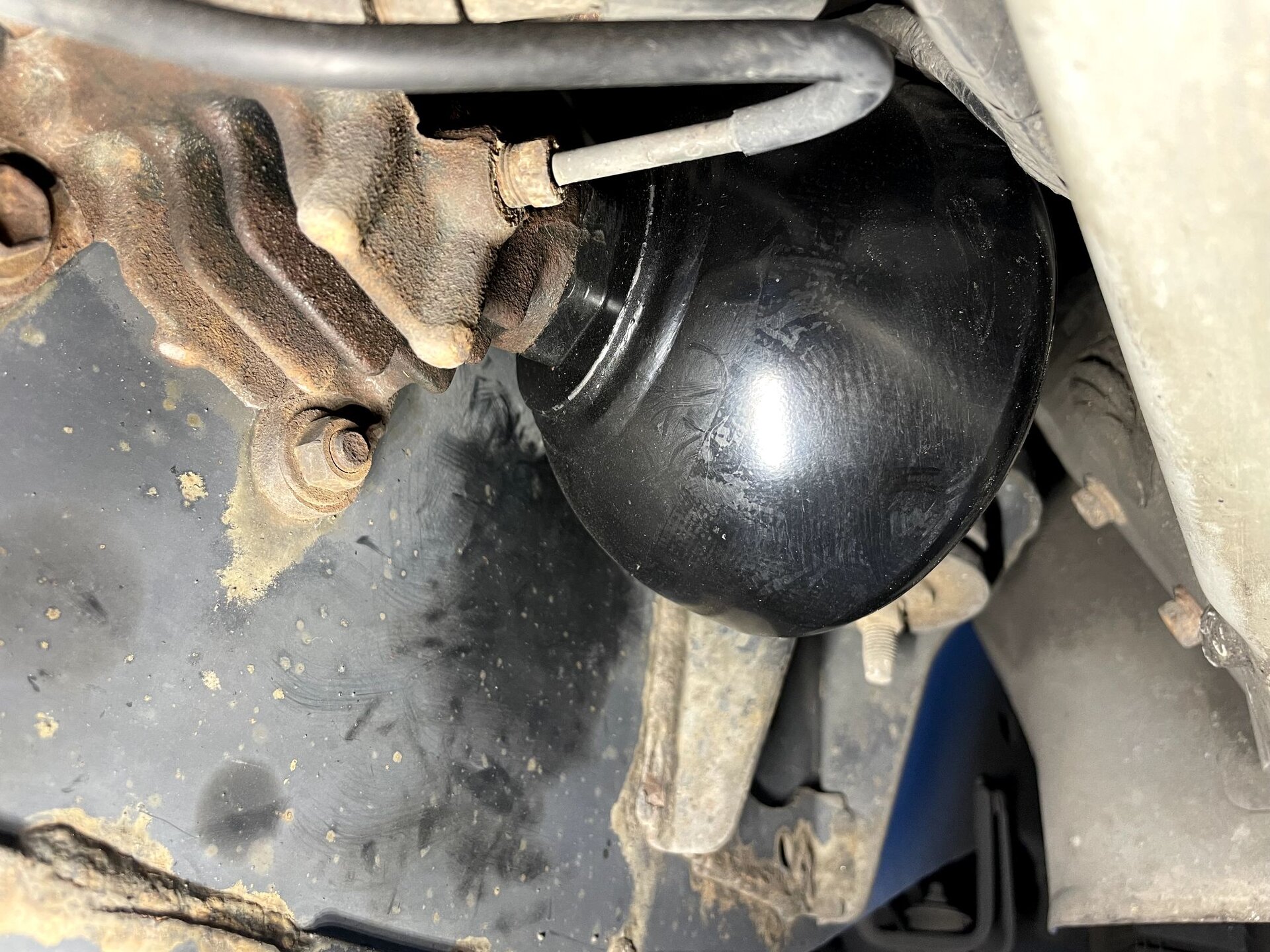 rear globe.jpg