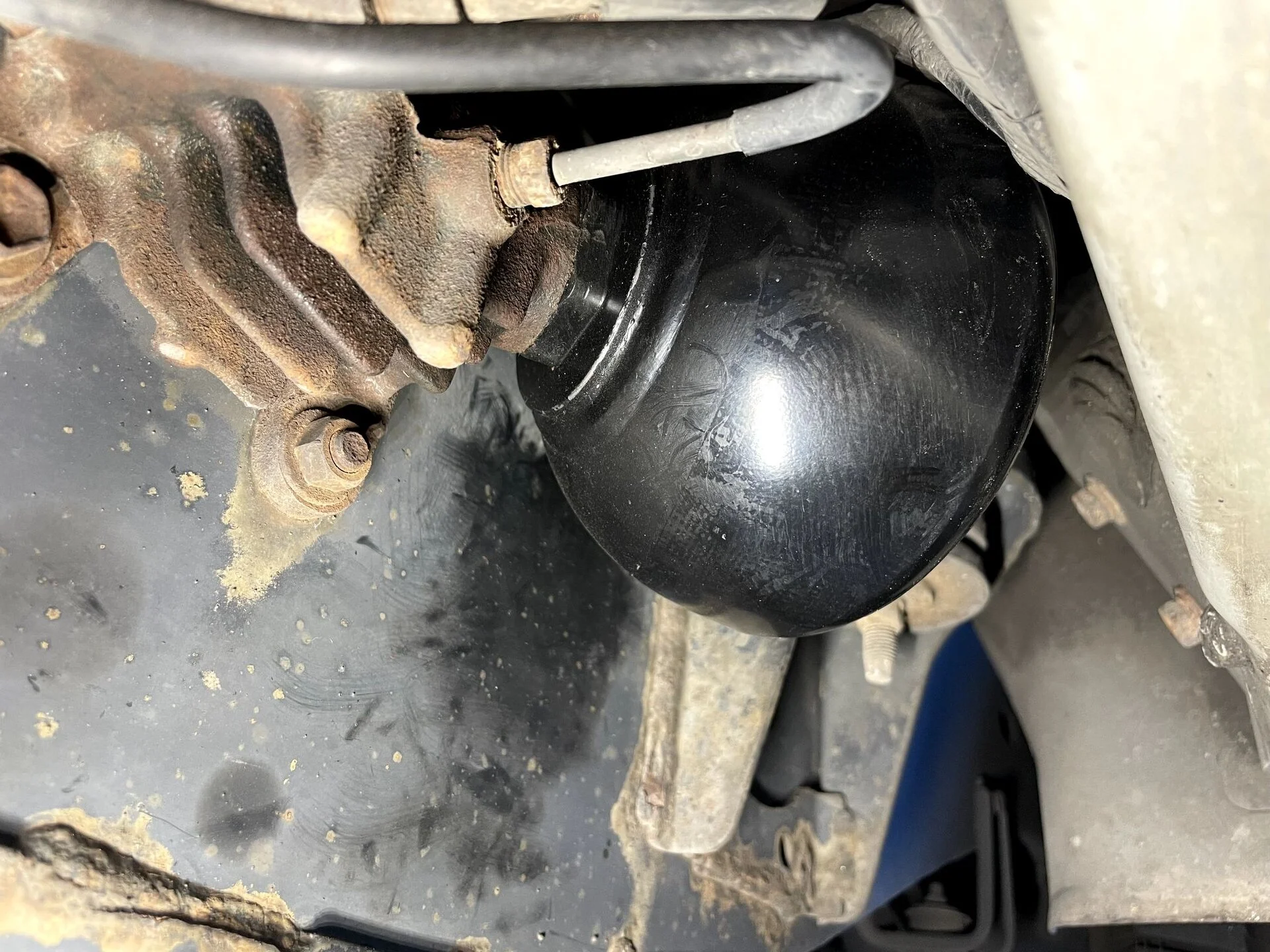 rear globe.webp