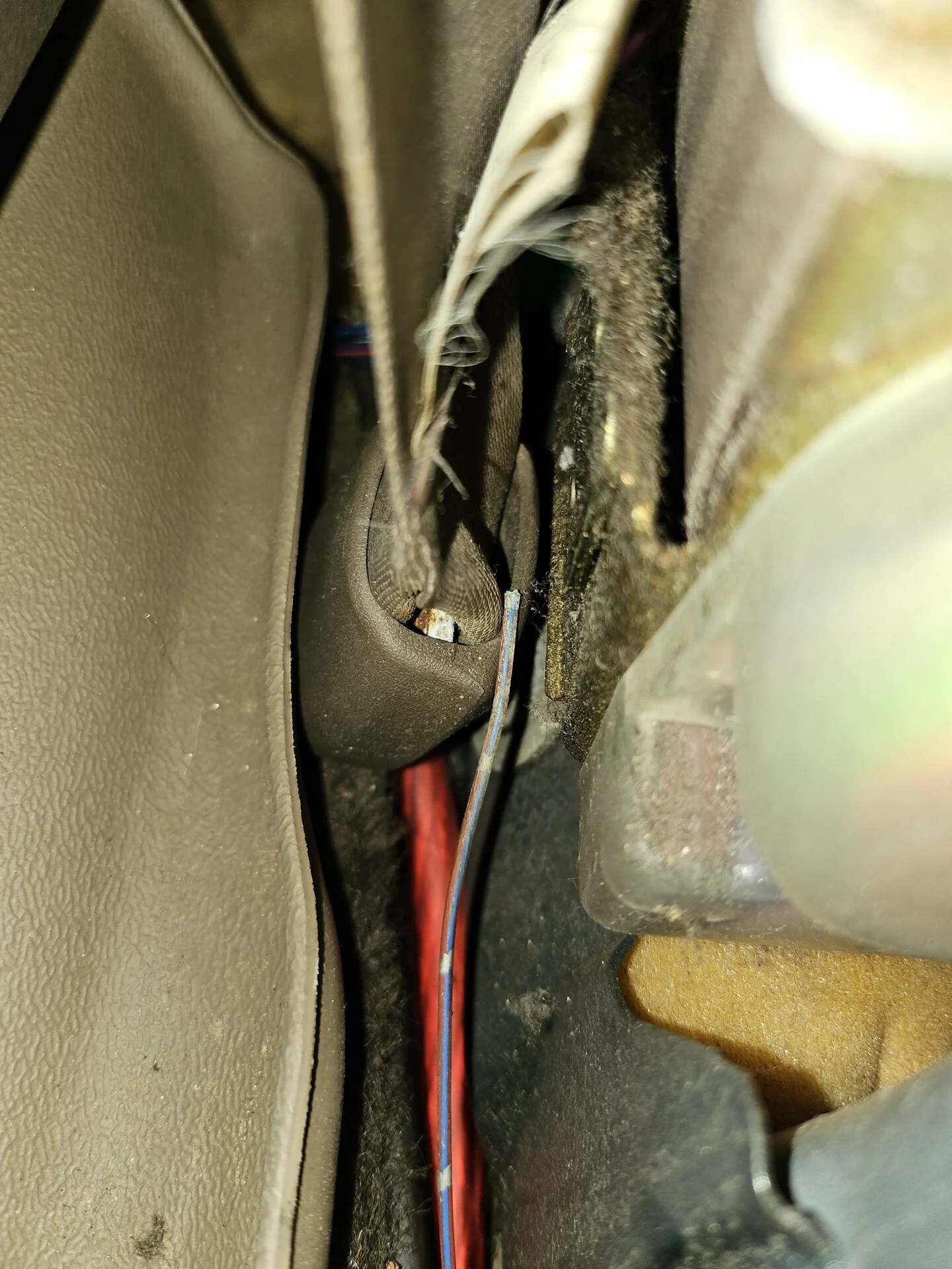 rear passenger side.webp