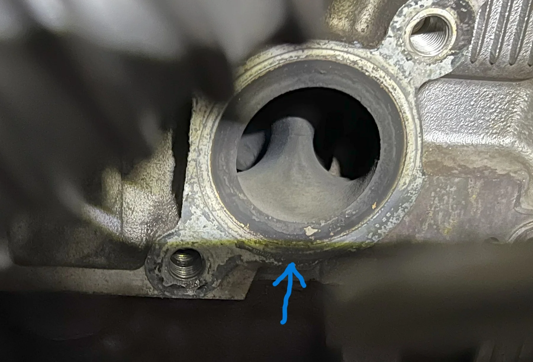 rear port.jpg