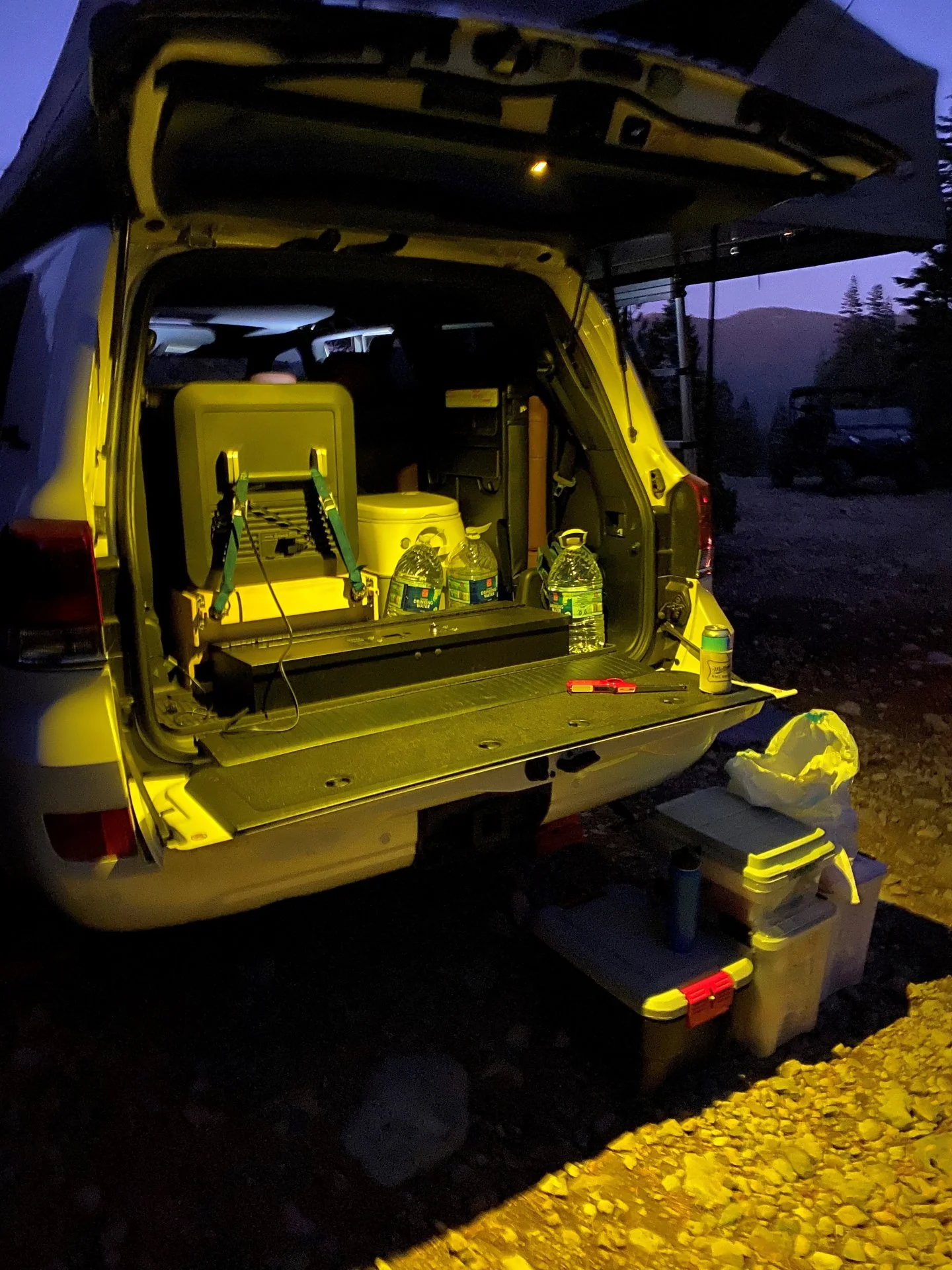 Rear Tailgate1.webp