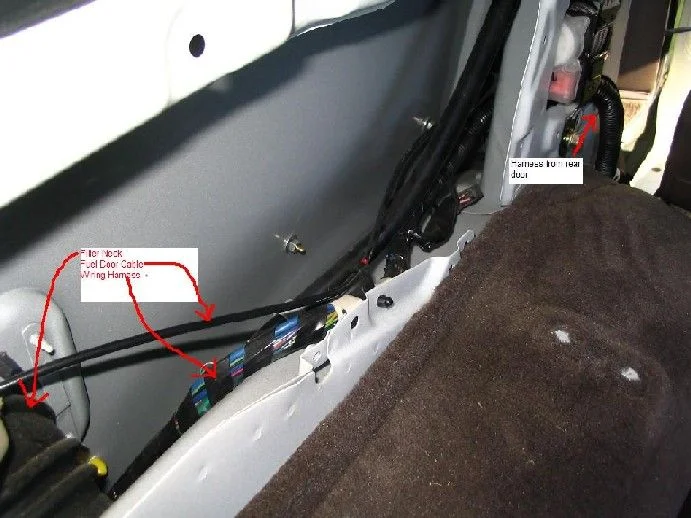Rear.webp