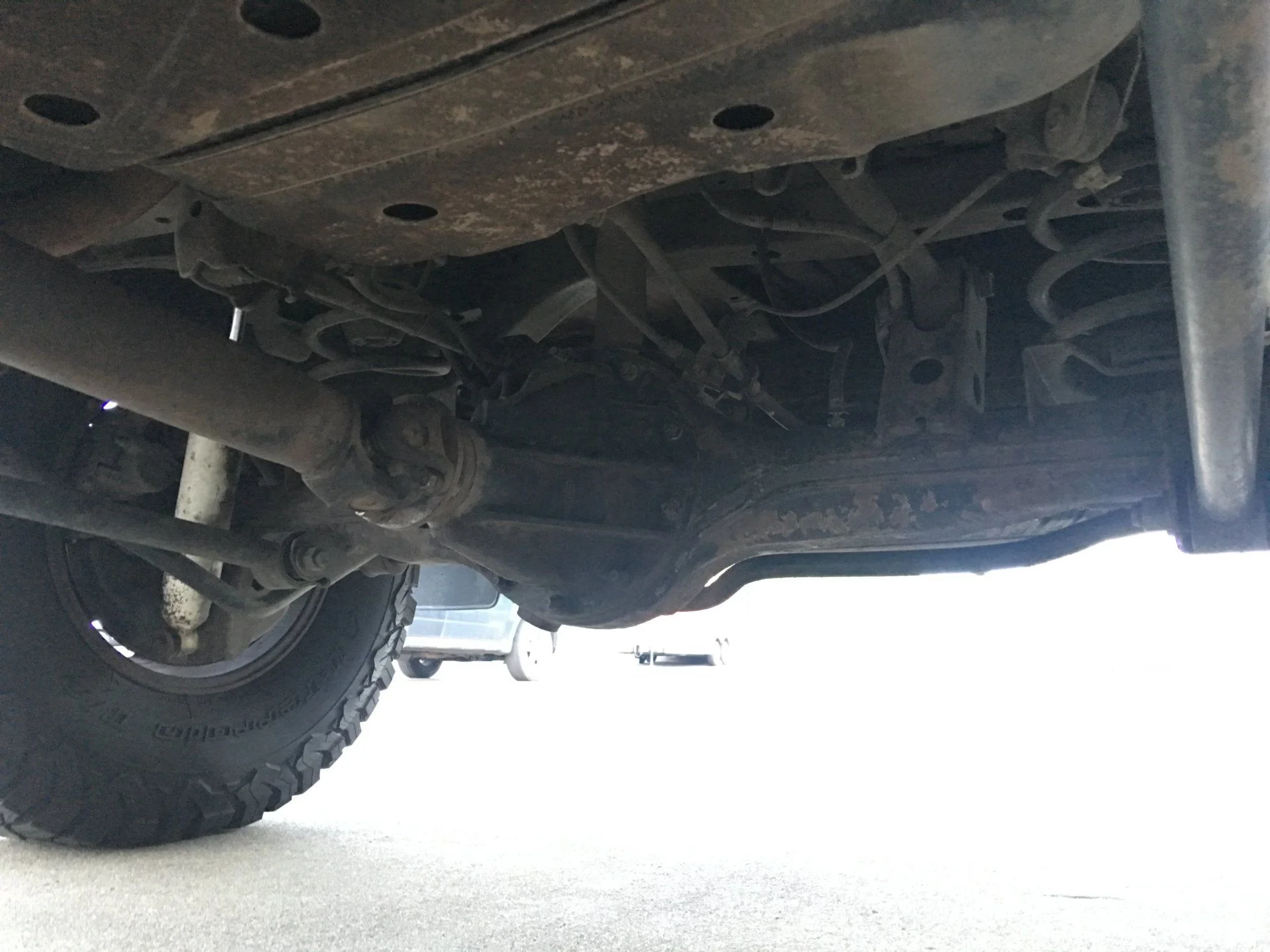 rear1.webp