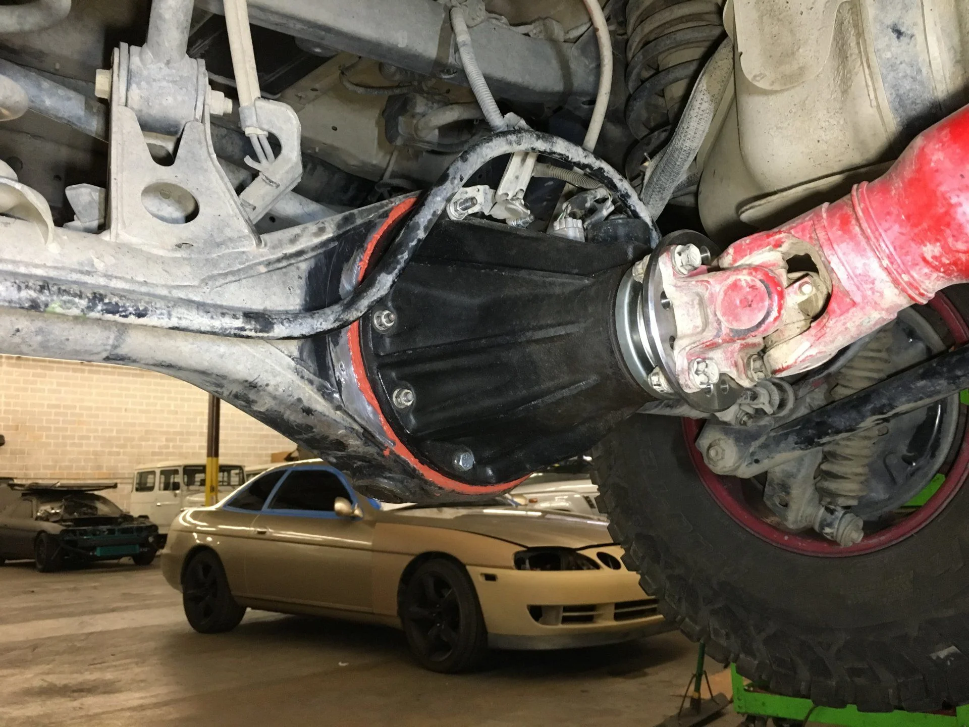 RearDiff (5).webp