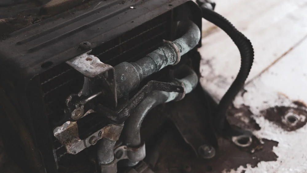 Rearheat.webp