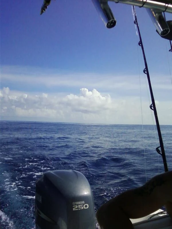 red banks flat calm.webp