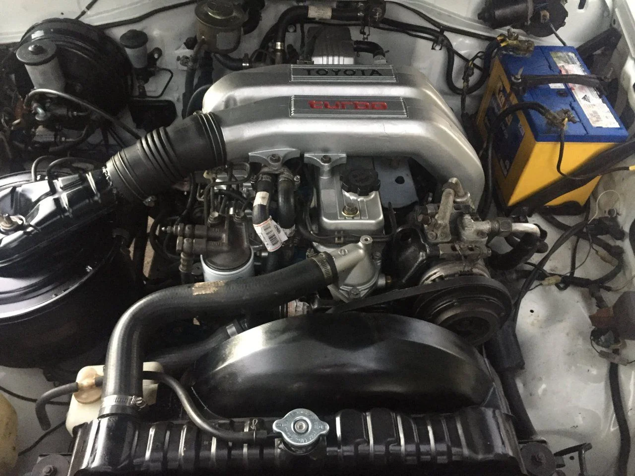 red turbo 001.webp
