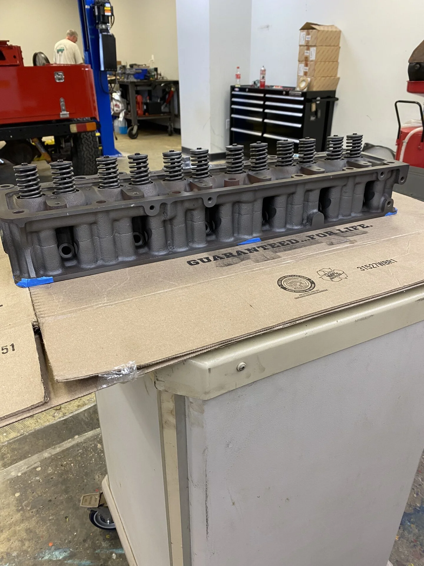 Red40HeadSide.jpg