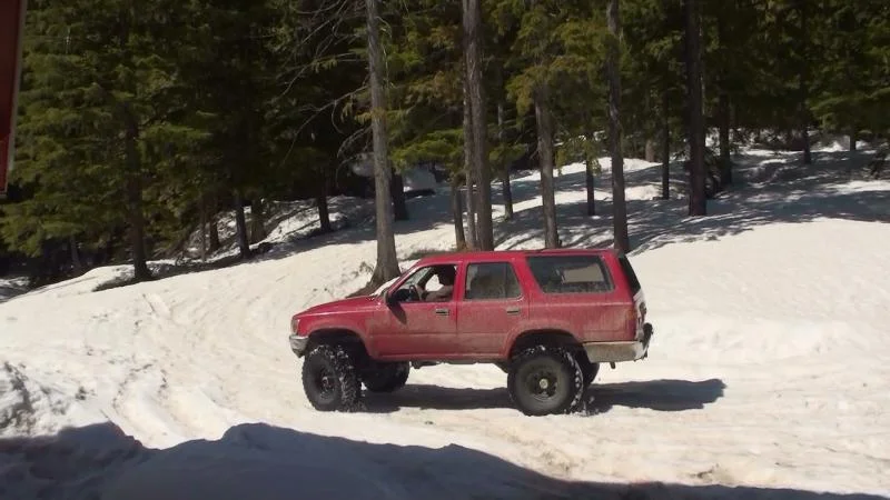 red_runner_driveway_sun(1).webp