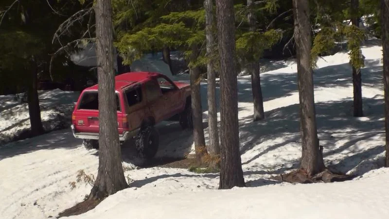 red_runner_driveway_sun(2).webp
