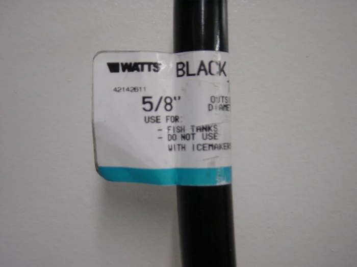 Resize of DSC03283.webp