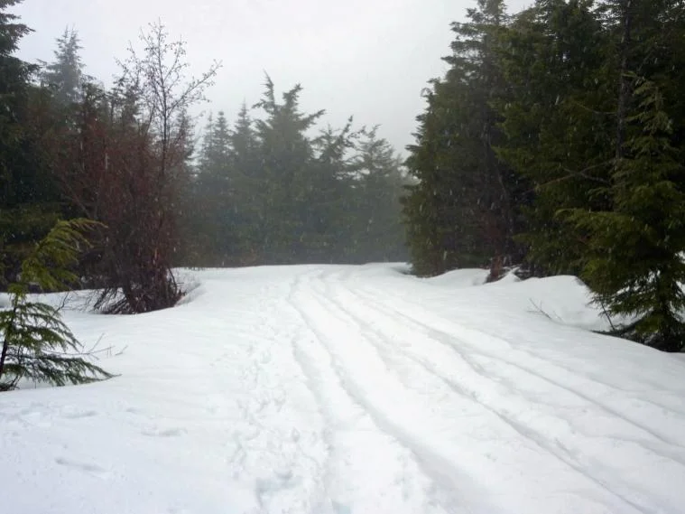 resize snow-o.webp