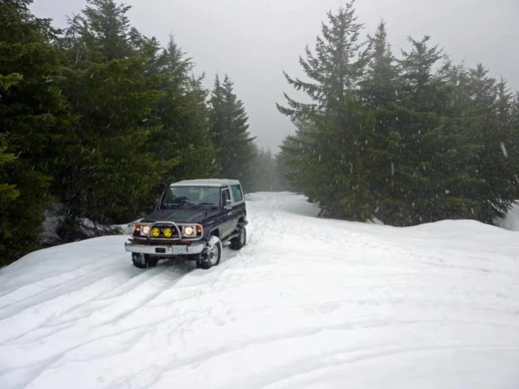 resize snow.webp