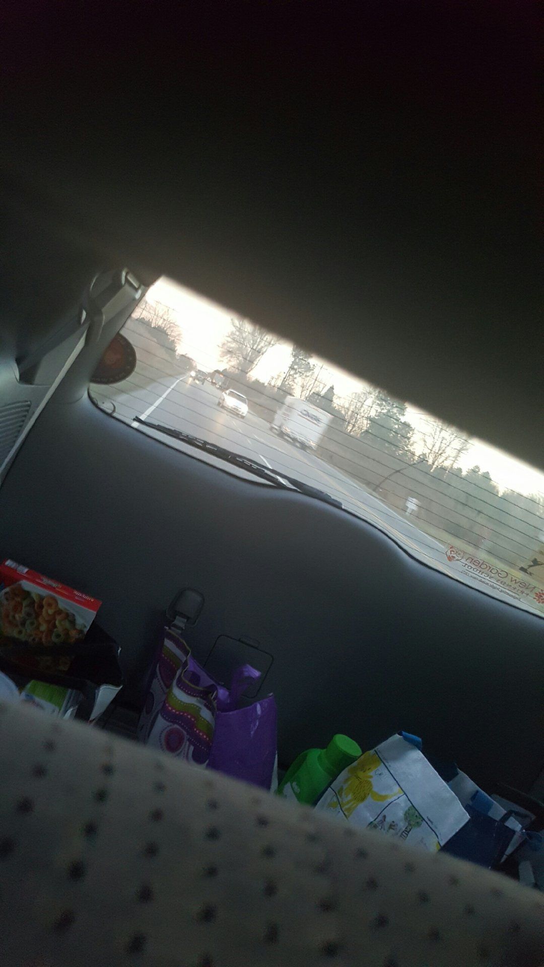 Resized_20170124_174126.jpeg