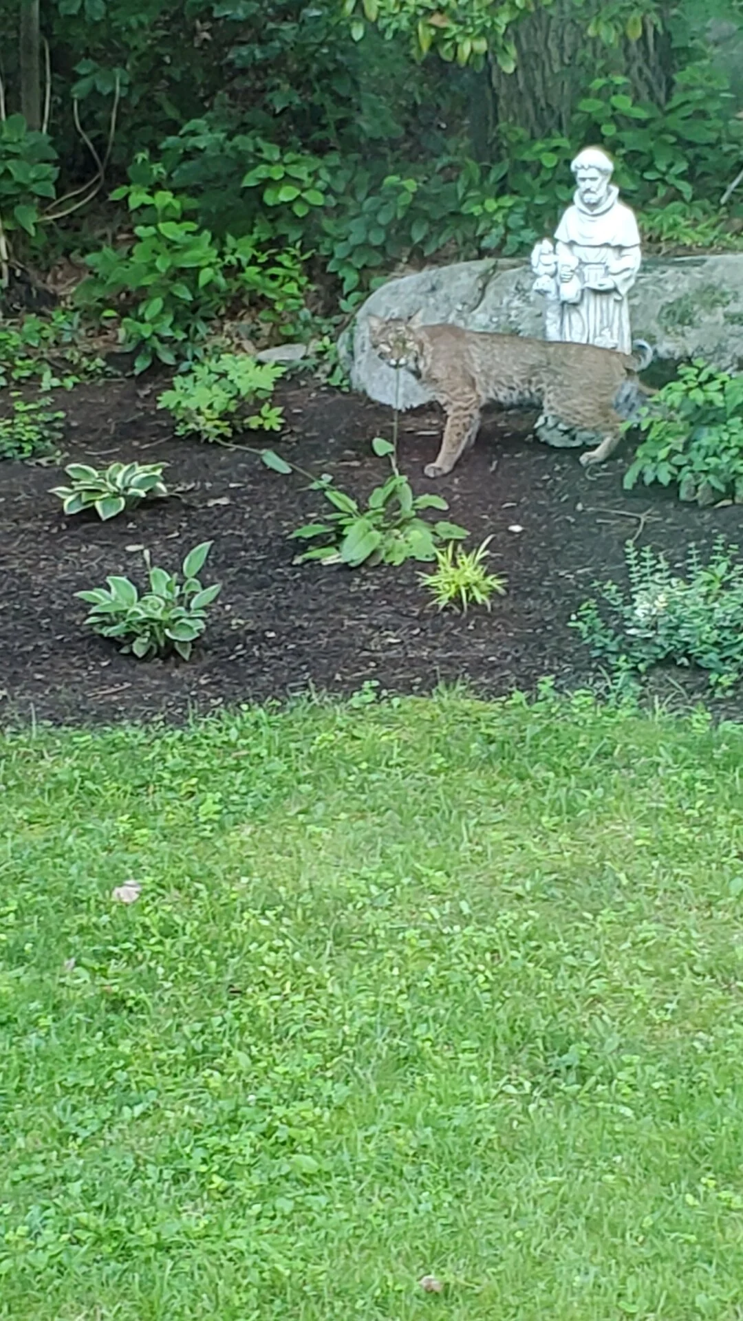 Resized_20230722_191100.webp