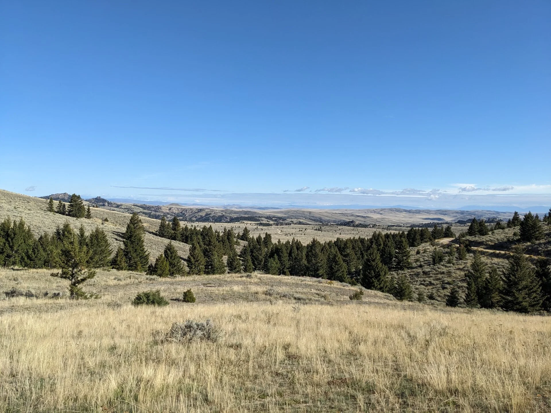 Revenue Flats Panorama.webp