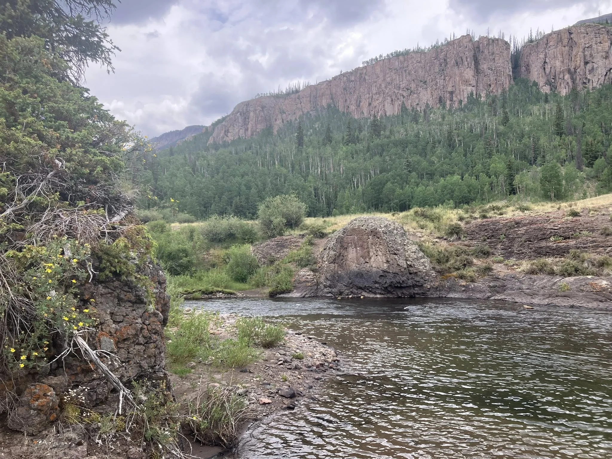 RG Headwaters 3.webp