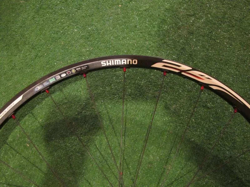 Rim1.webp