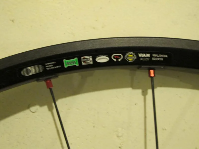 Rim2.webp
