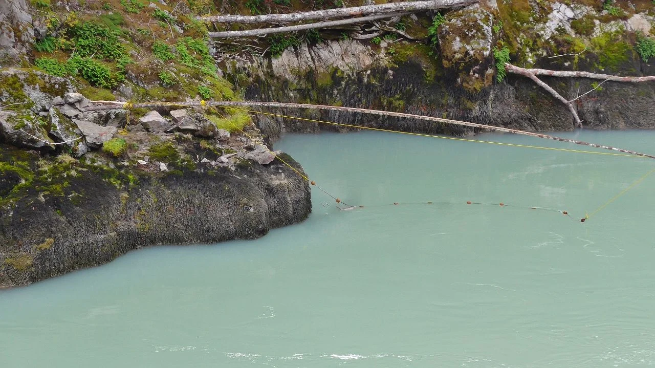 River Nets (1280x719).webp