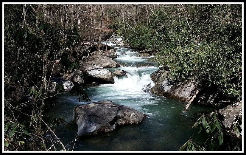 River.webp